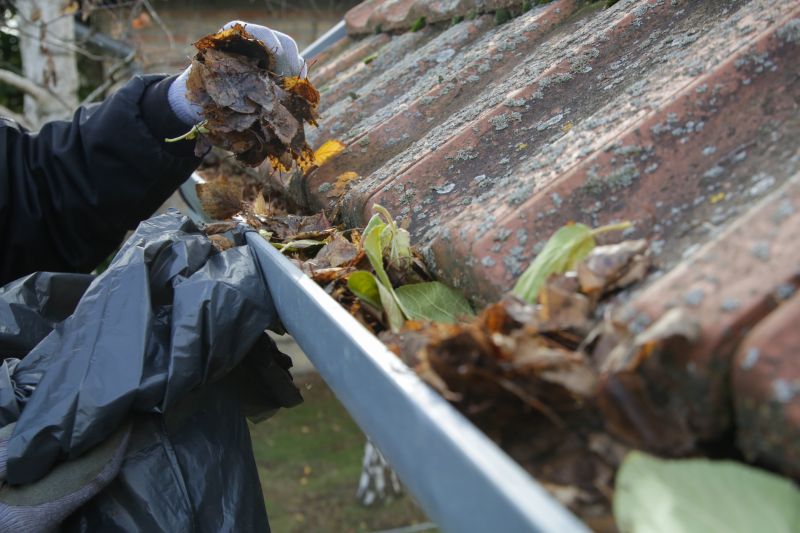 Fall Gutter Maintenance